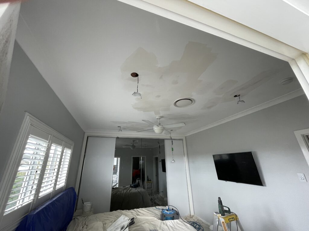 Carina project showing water damage repair on an old horse hair plaster ceiling, including scraping, plaster repair, and repainting.